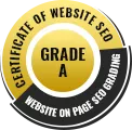 Website Seo score checker